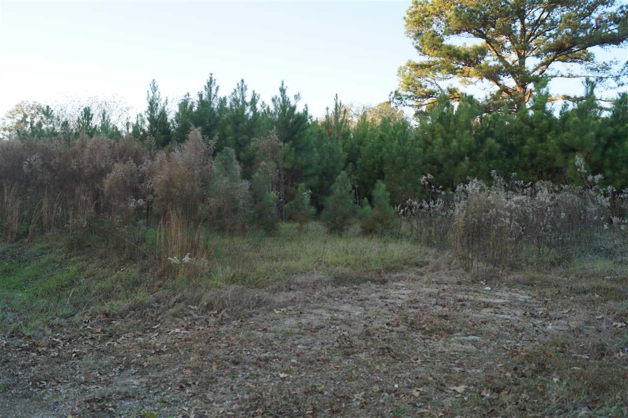 390 Edwards Road, Unit UNKNOWN Quincy, FL 32351 - Photo 3 of 7 Gallery Image 3