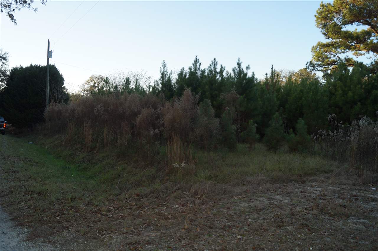 390 Edwards Road, Unit UNKNOWN Quincy, FL 32351 - Photo 4 of 7 Gallery Image 4