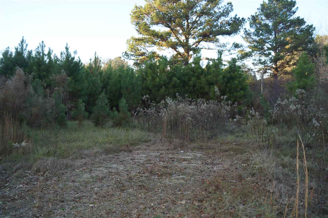 390 Edwards Road, Unit UNKNOWN Quincy, FL 32351 - Photo 5 of 7 Gallery Image 5