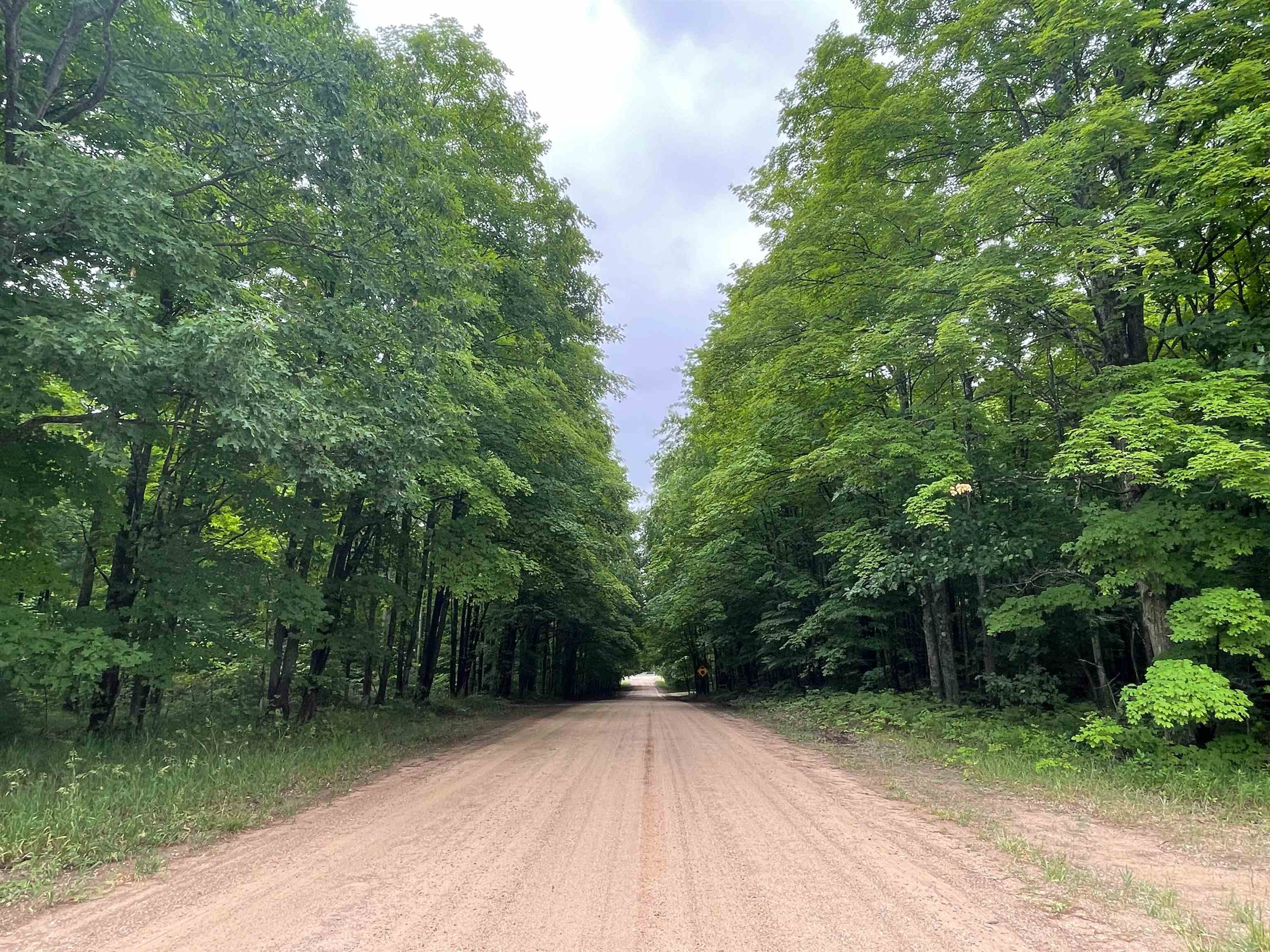 Southwest Montgomery Road Southwest South Boardman, MI 49680 - Photo 5 of 6