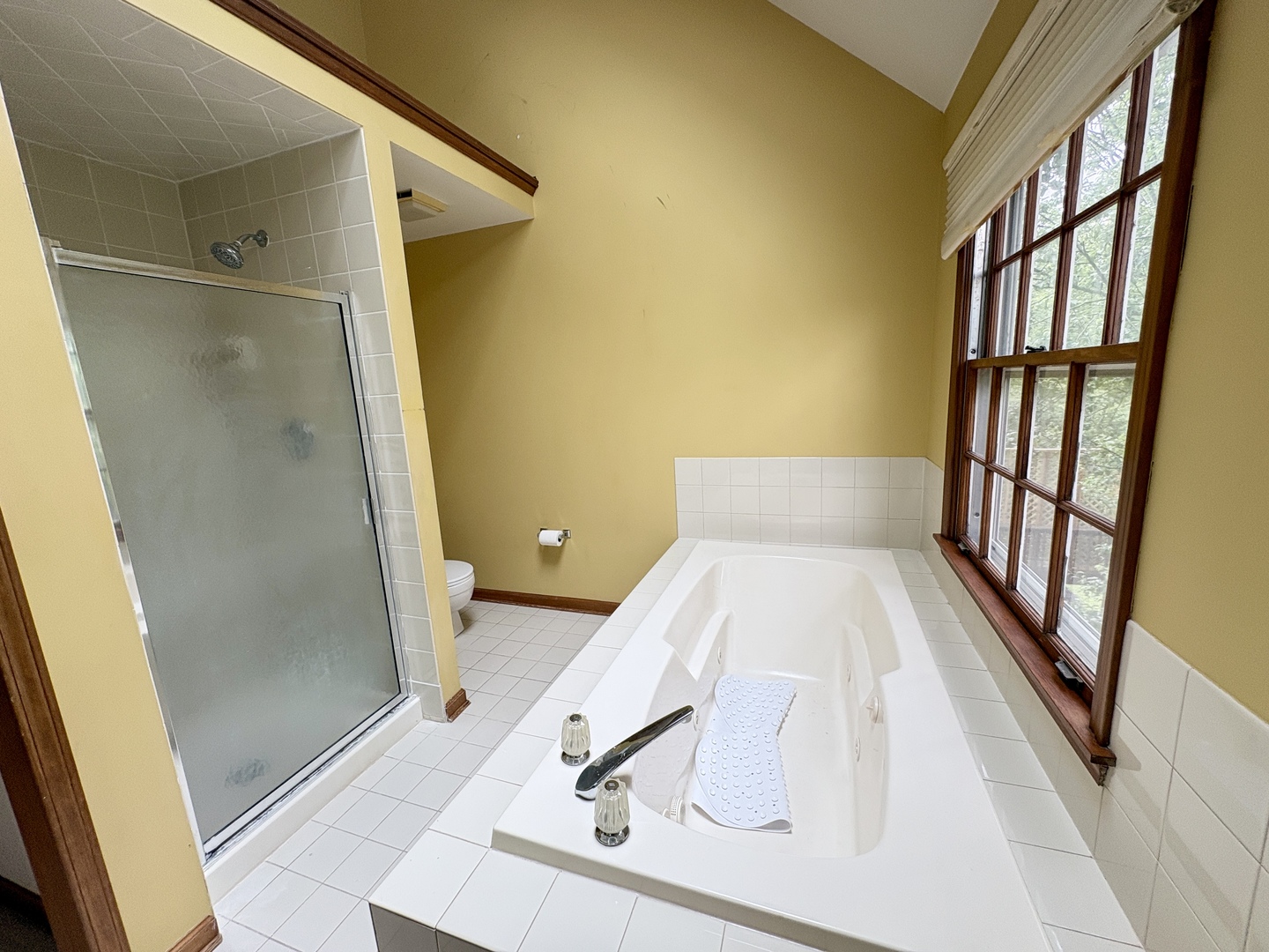 244 Knoll Street Wheaton, IL 60187 - Photo 14 of 26