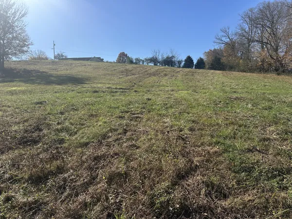 a view of a dry yard