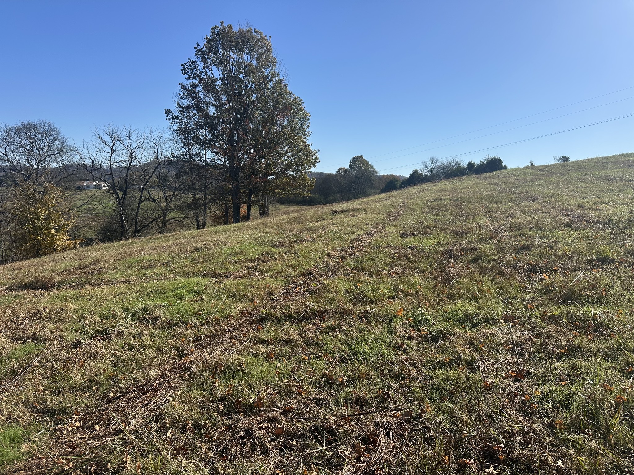 0 McClures Bend Lane Carthage, TN 37030 - Photo 12 of 30 a view of a dry yard
