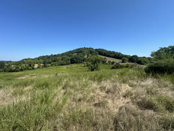 a view of a grassy field with trees in the background