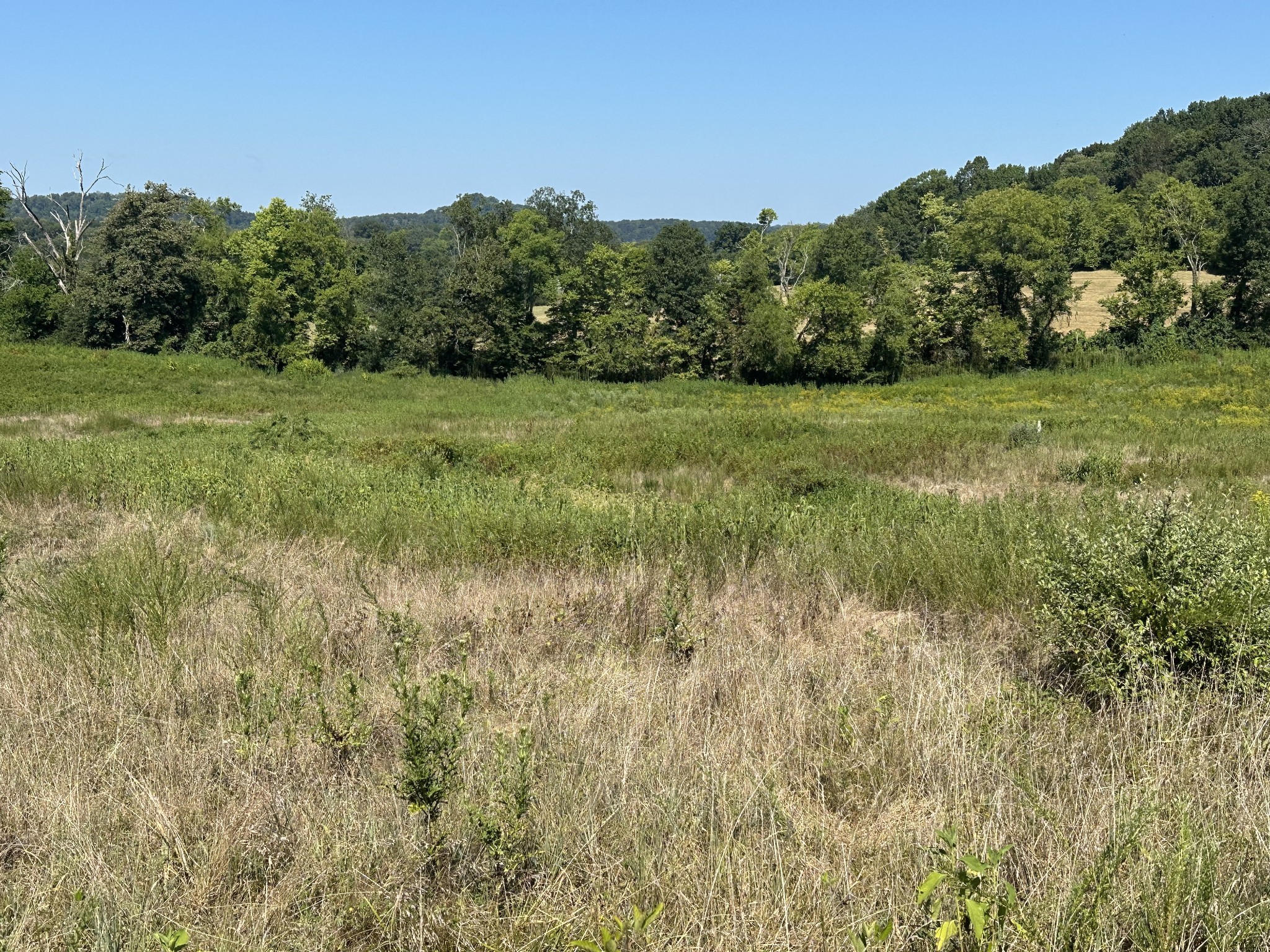 0 McClures Bend Lane Carthage, TN 37030 - Photo 18 of 30 a view of a grassy field with trees in the background