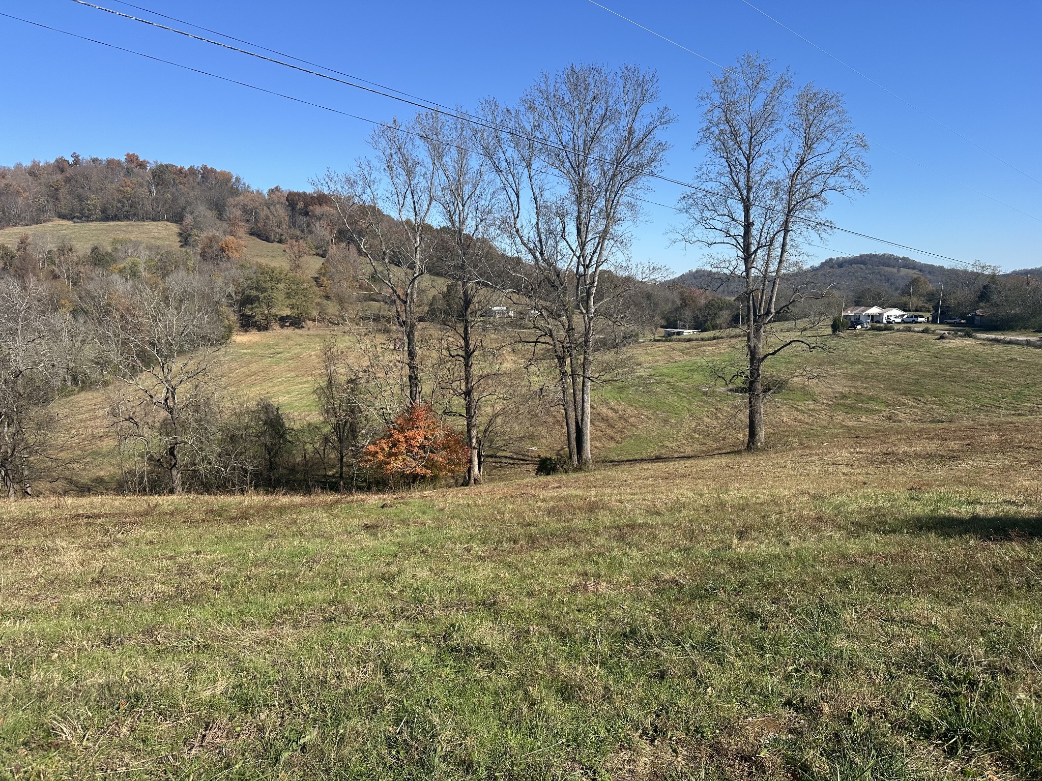 0 McClures Bend Lane Carthage, TN 37030 - Photo 2 of 30 a view of outdoor space and yard