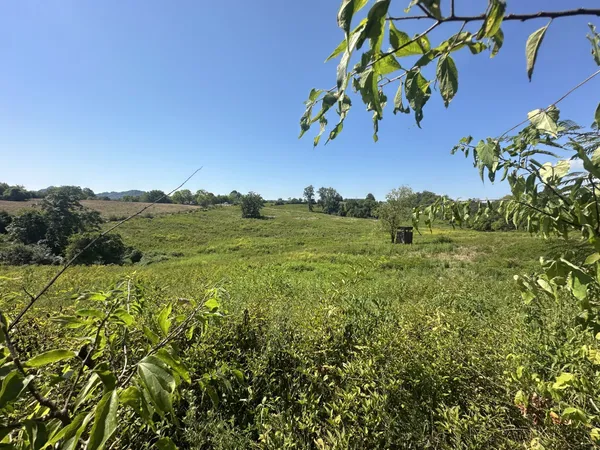 a view of a lake with a yard