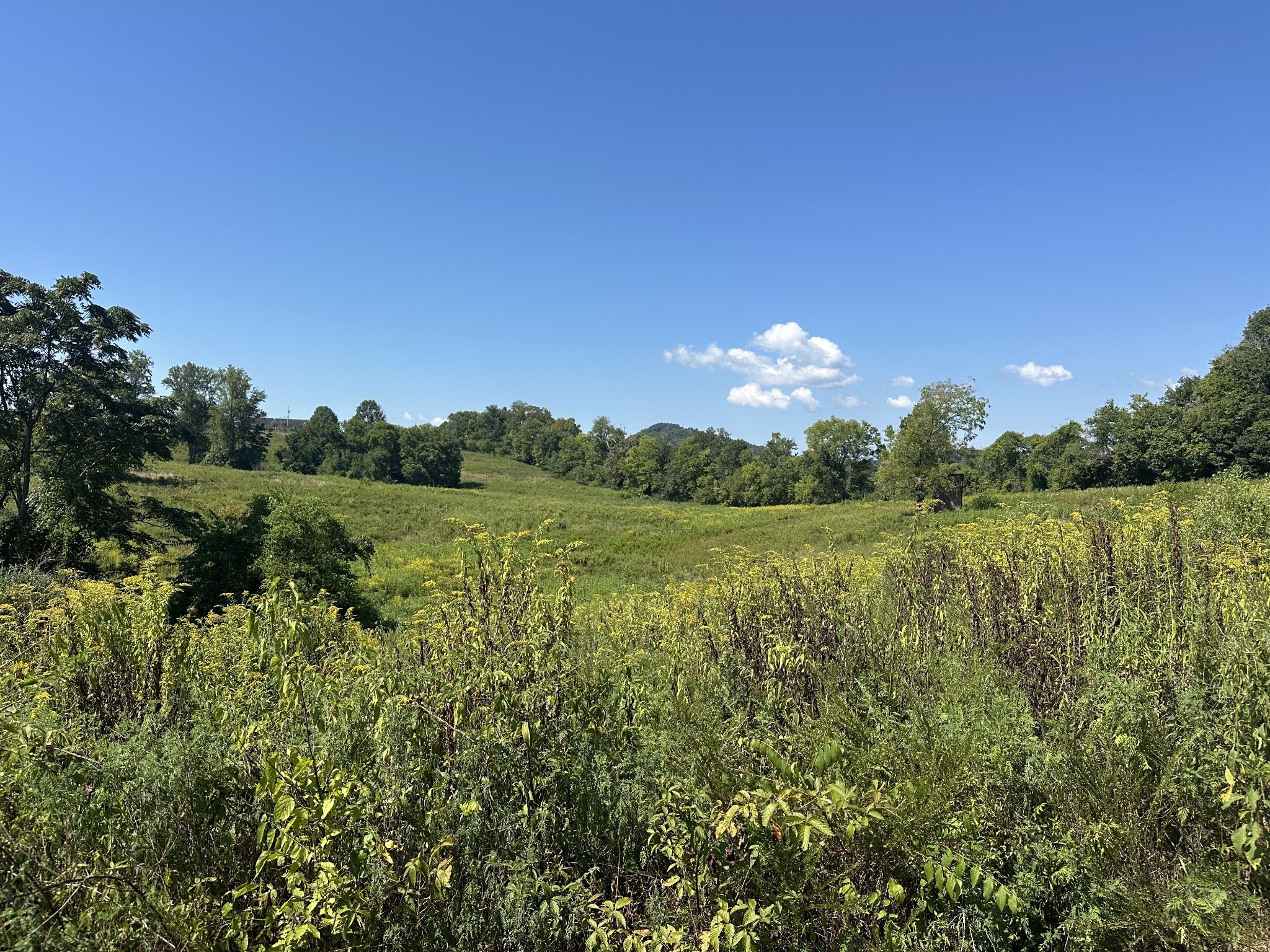 0 McClures Bend Lane Carthage, TN 37030 - Photo 23 of 30 a view of a lake with a yard