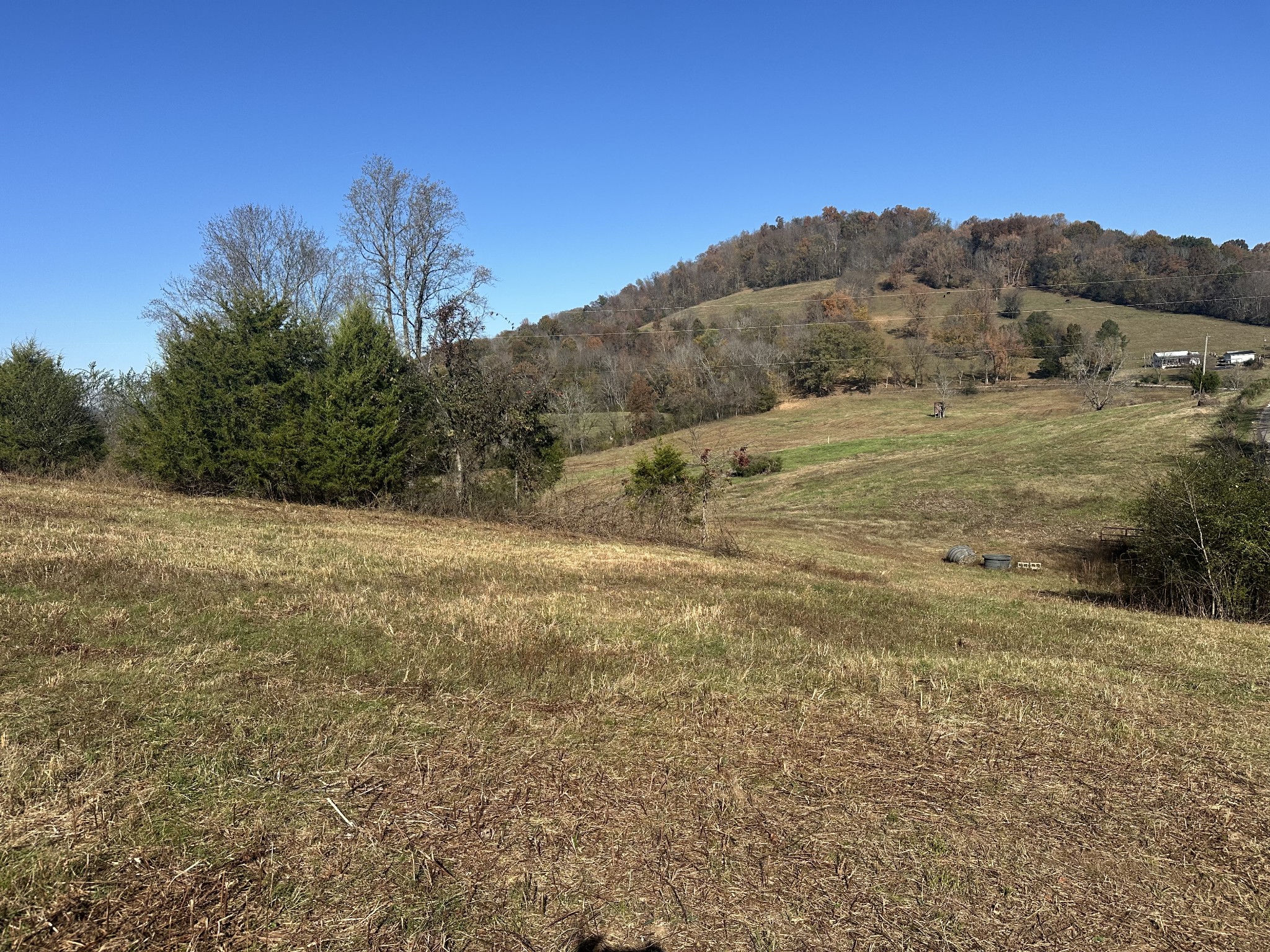 0 McClures Bend Lane Carthage, TN 37030 - Photo 27 of 30 a view of a field with mountains in the background
