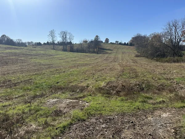 a view of a lake in middle of a field