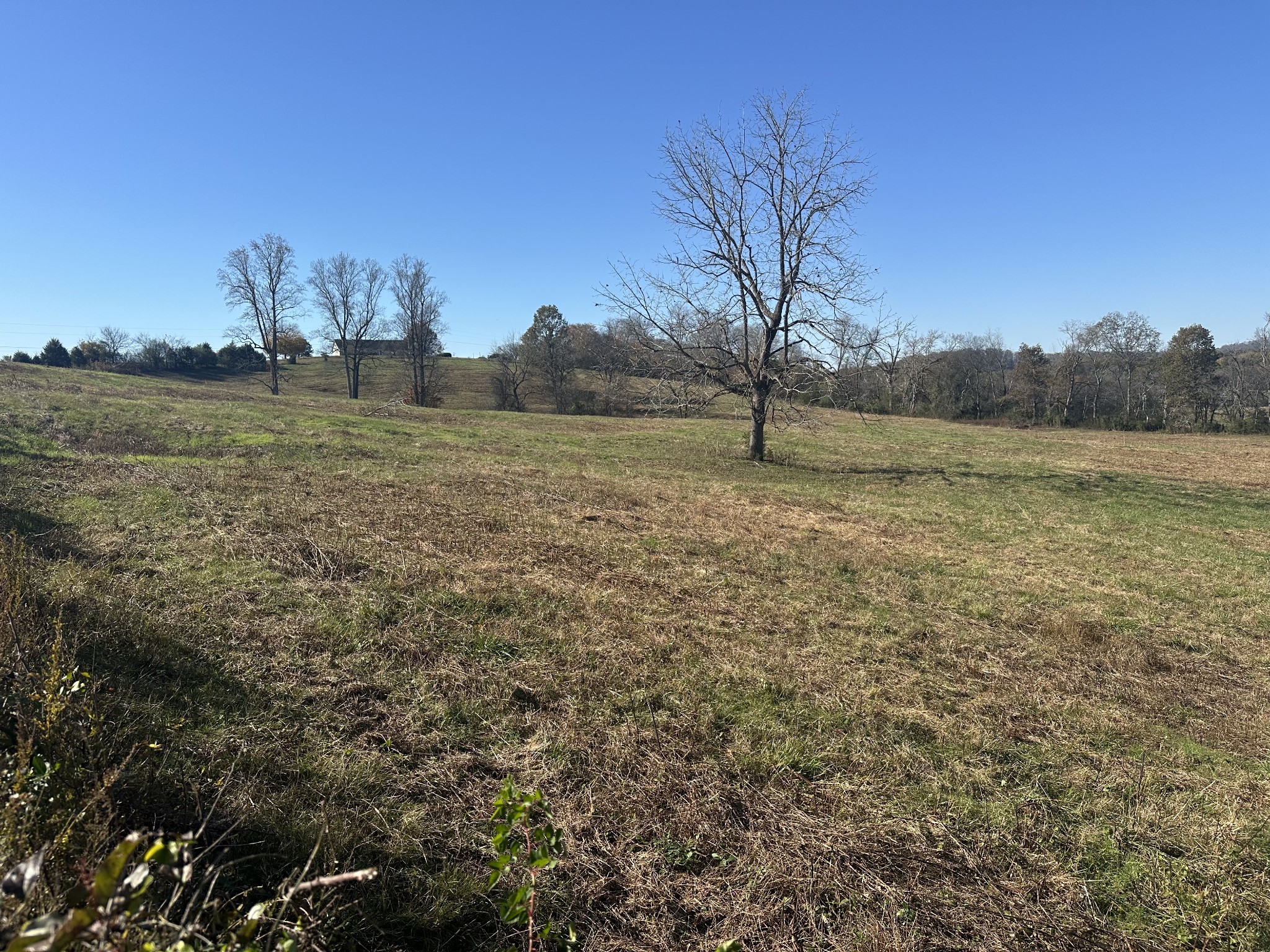 0 McClures Bend Lane Carthage, TN 37030 - Photo 5 of 30 a view of a field with an ocean