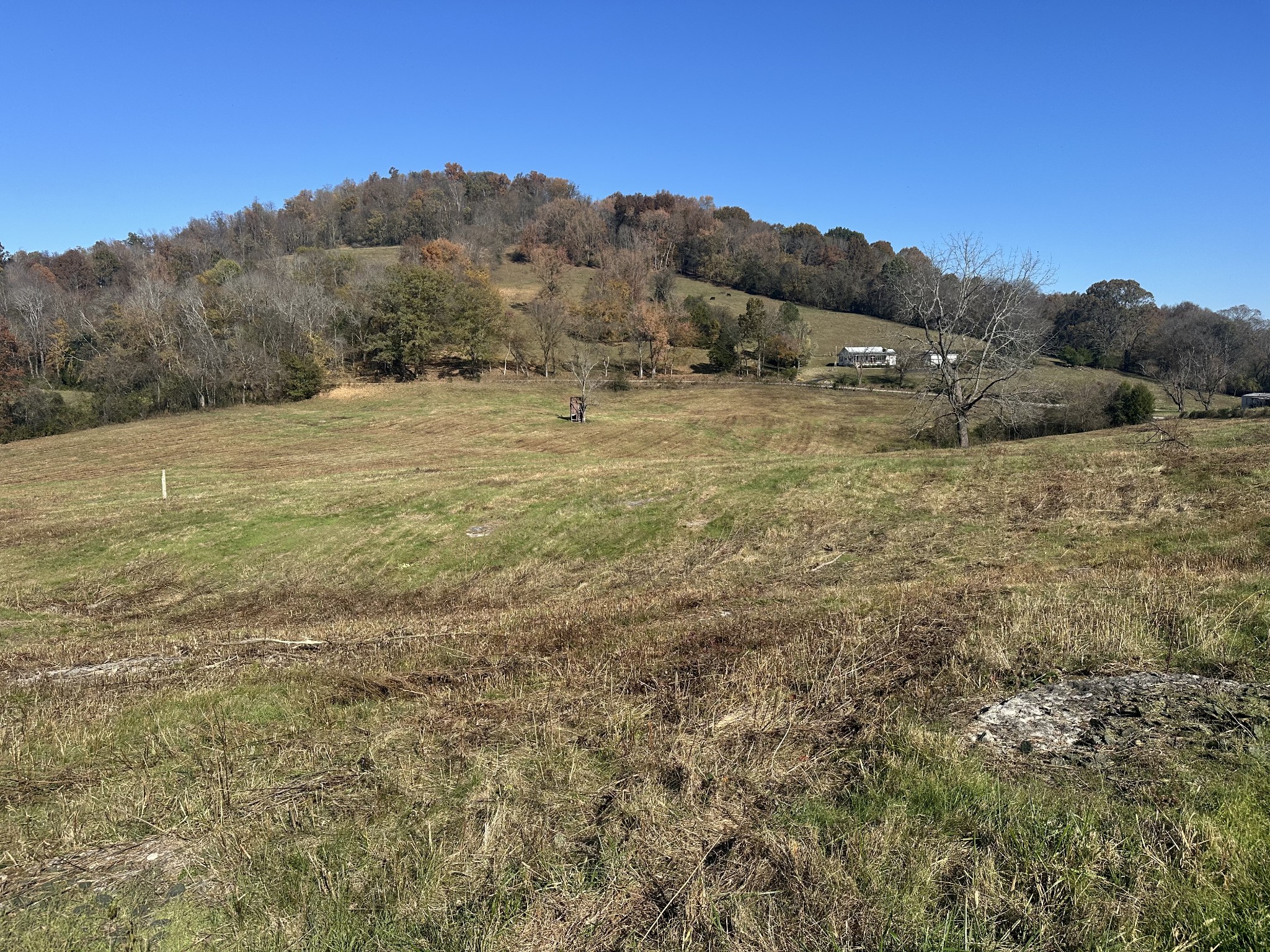 0 McClures Bend Lane Carthage, TN 37030 - Photo 7 of 30 a view of a dry field with mountains in the background
