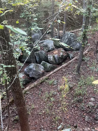 $1,100,000 | 4304 Farm Market 352 Corrigan Tx 75939, Corrigan, TX 75939