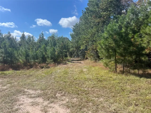 a view of a yard with trees