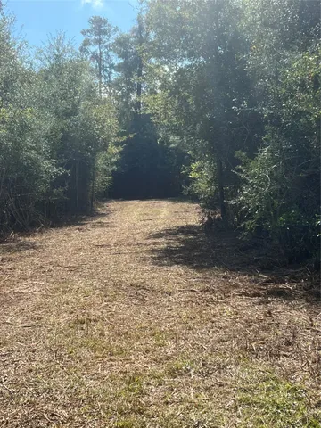 a view of yard with trees