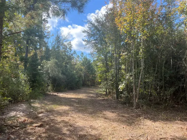 $1,100,000 | 4304 Farm Market 352 Corrigan Tx 75939, Corrigan, TX 75939