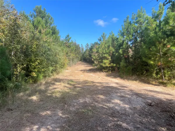 $1,100,000 | 4304 Farm Market 352 Corrigan Tx 75939, Corrigan, TX 75939