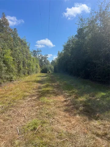 a view of a big yard