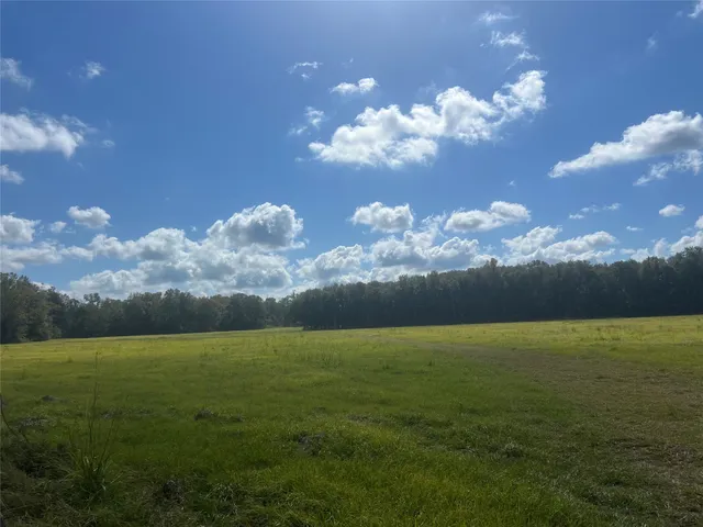 a view of a golf course with a lake