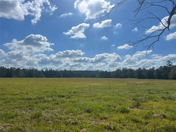 $1,100,000 | 4304 Farm Market 352 Corrigan Tx 75939, Corrigan, TX 75939