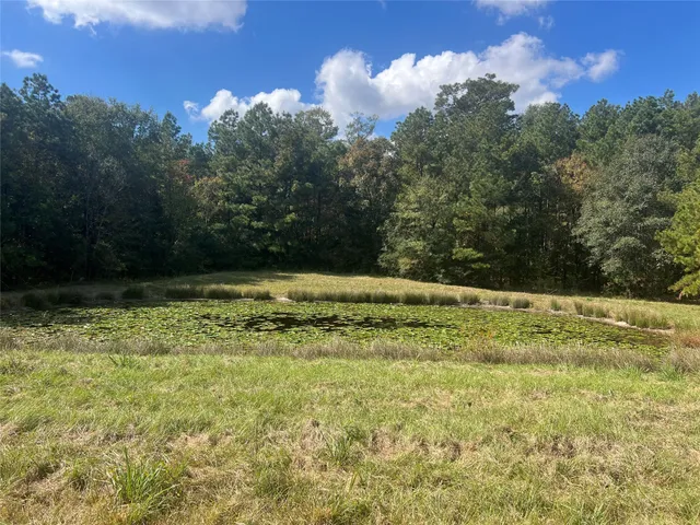a view of swimming pool from a lake view