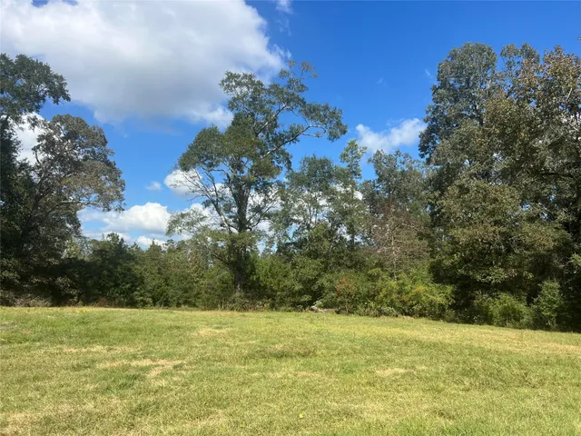 a view of a big yard