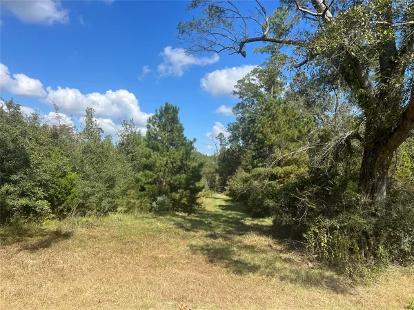 $1,100,000 | 4304 Farm Market 352 Corrigan Tx 75939, Corrigan, TX 75939