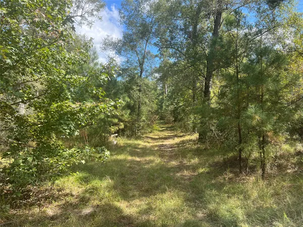 $1,100,000 | 4304 Farm Market 352 Corrigan Tx 75939, Corrigan, TX 75939