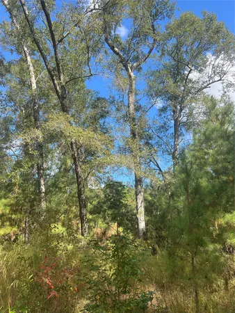 $1,100,000 | 4304 Farm Market 352 Corrigan Tx 75939, Corrigan, TX 75939