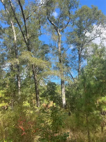 $1,785,000 | 4304 Farm Market 352 Corrigan Tx 75939, Corrigan, TX 75939