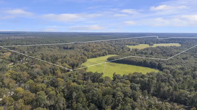a bird view of a house