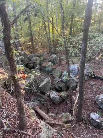 a view of outdoor space and yard