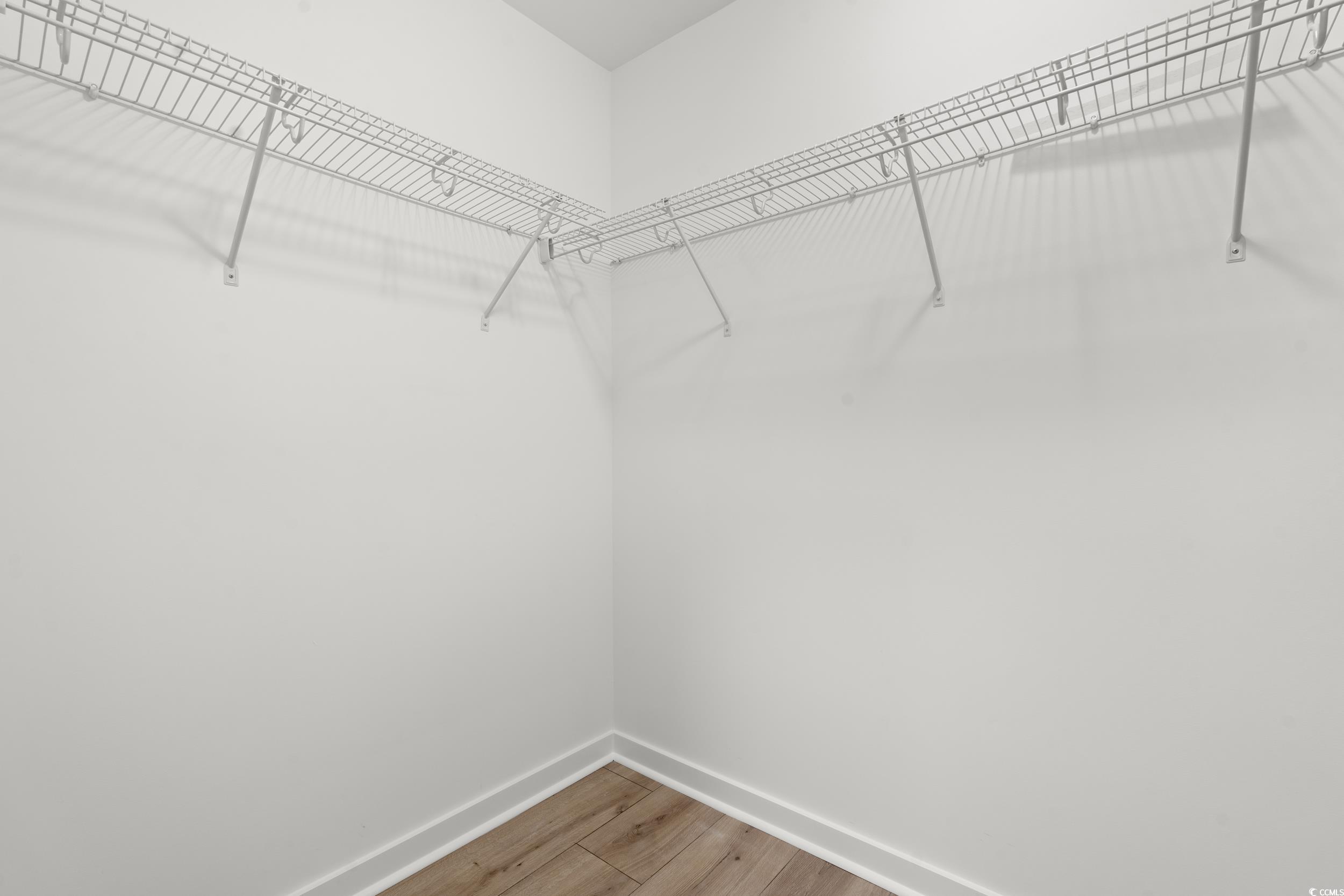 2827 Biscane Court Conway, SC 29527 - Photo 14 of 31 Walk in closet featuring light wood-style floors