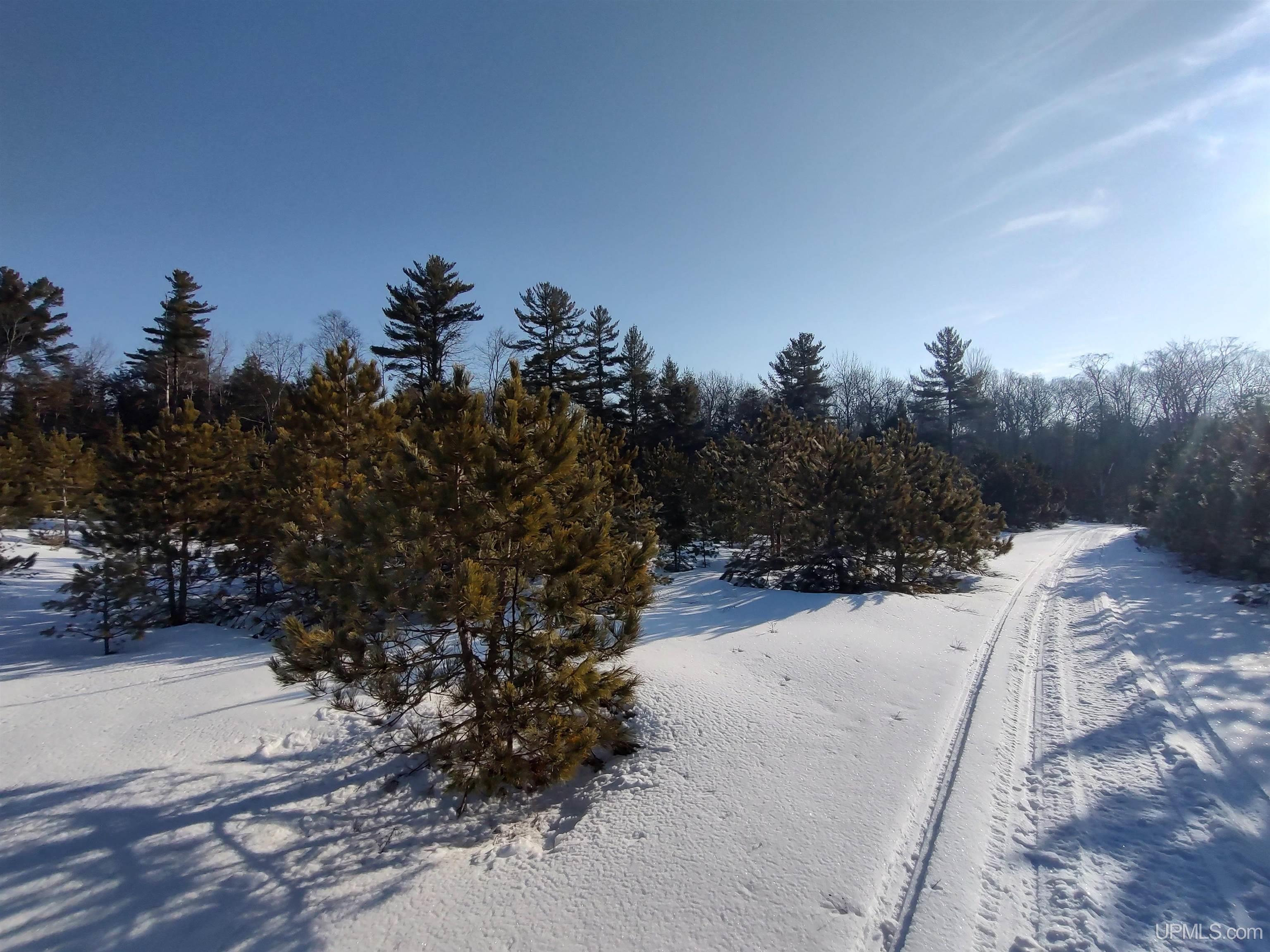 40-acres Gierke Road Manistique, MI 49854 - Photo 9 of 39