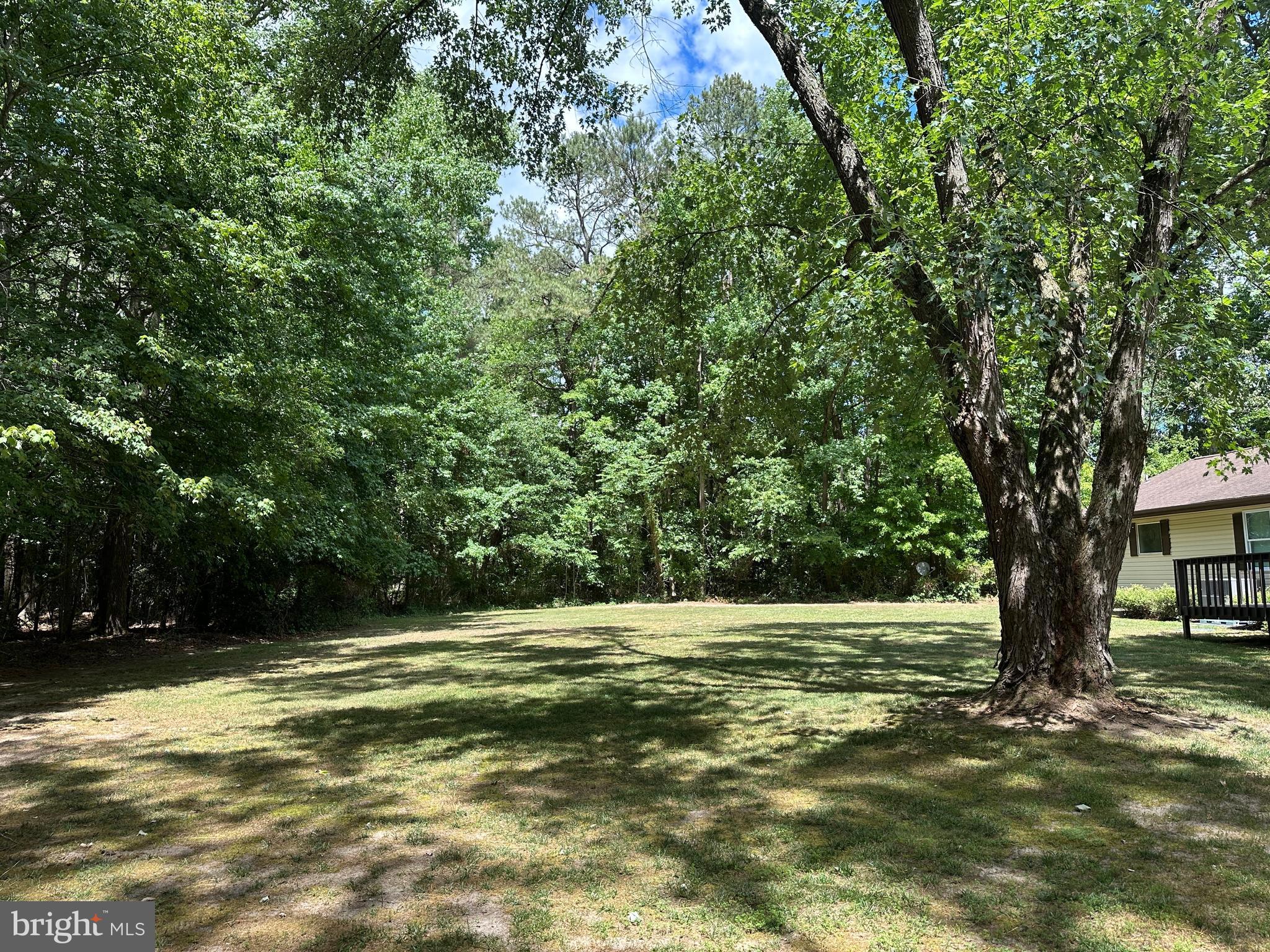 28440 Bloomery Road Federalsburg, MD 21632 - Photo 57 of 94