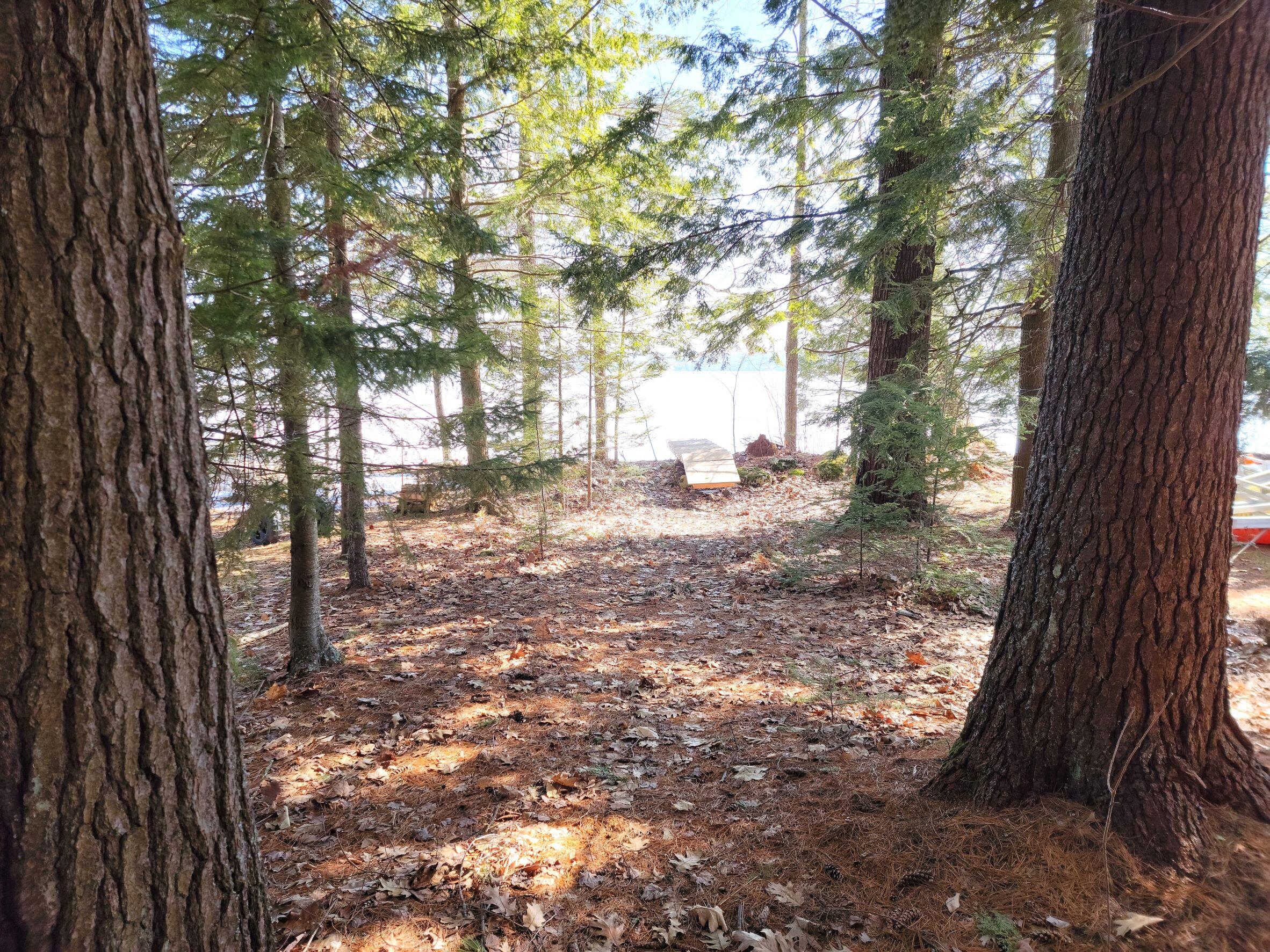 0 Rancourt Lane Burnham, ME 04922 - Photo 7 of 7 Shorefront path