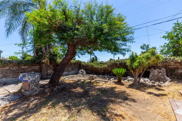a view of a tree in a yard