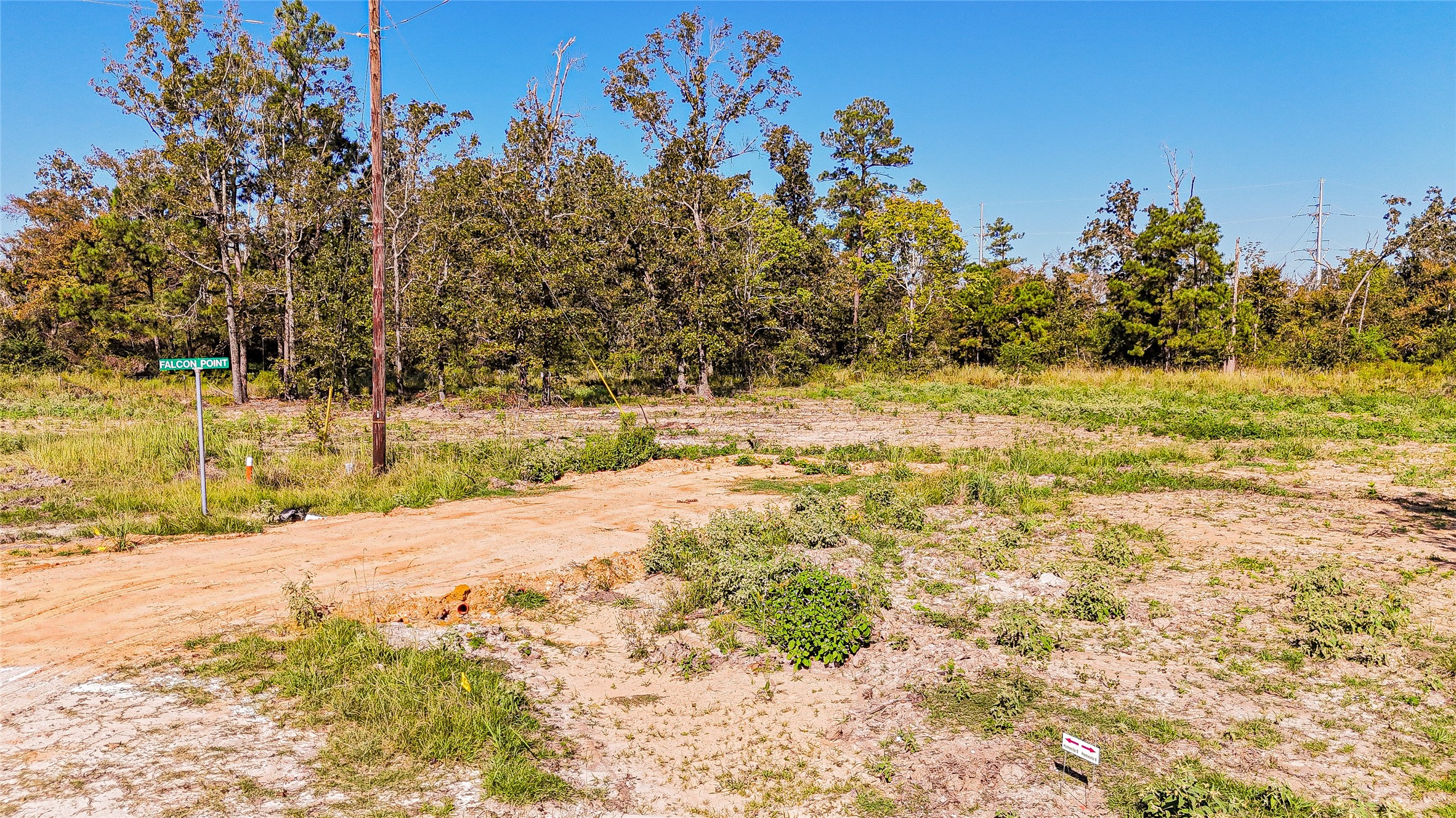 16 Falcon Point Onalaska, TX 77360 - Photo 4 of 6
