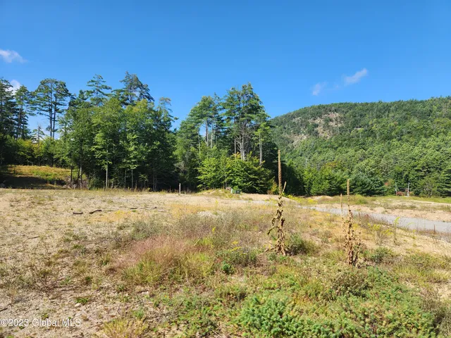 $83,900 | 4 Blackberry Lane, Horicon, NY 12815