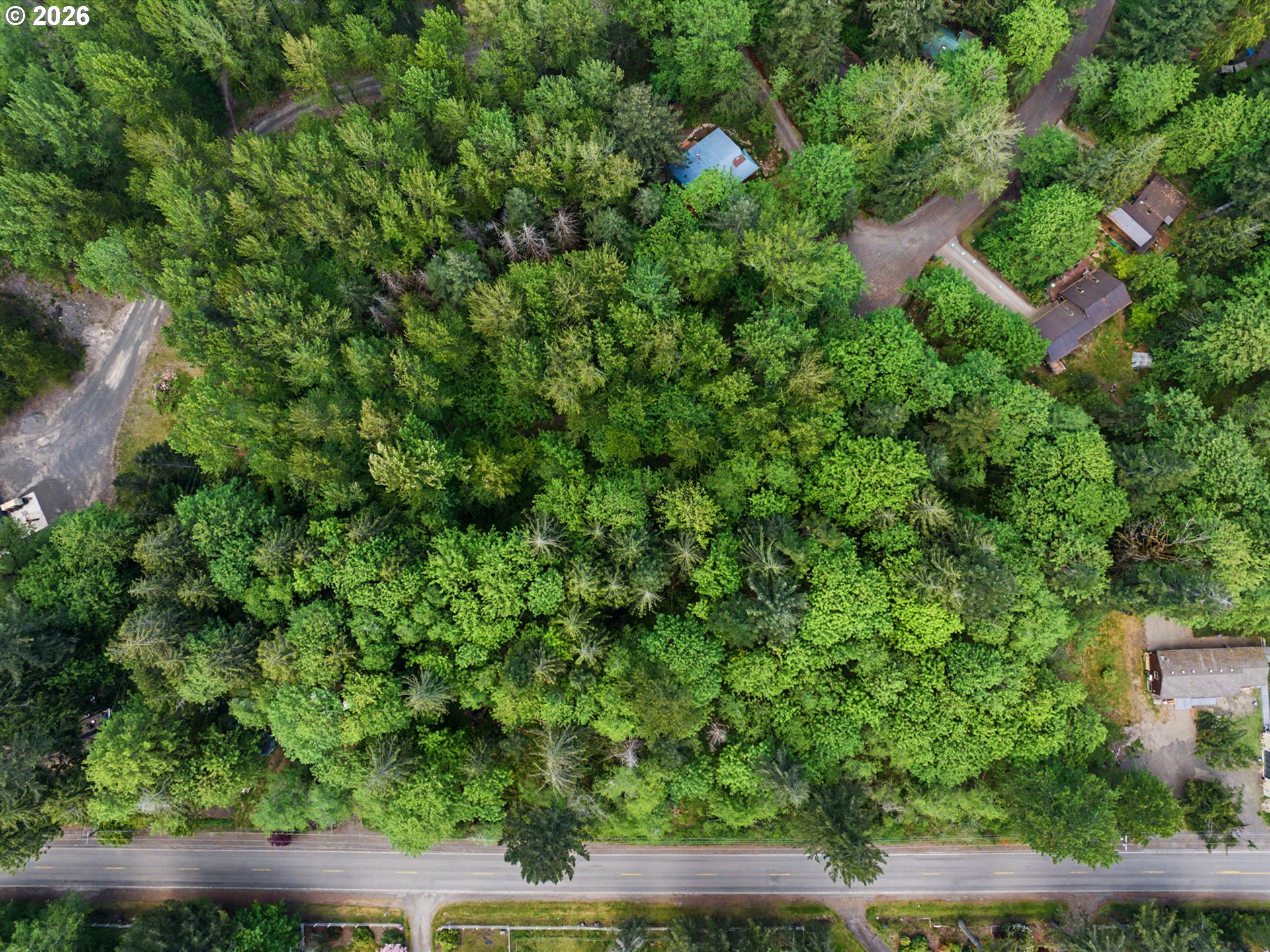 0 East Brightwood Loop Road Brightwood, OR 97011 - Photo 8 of 15