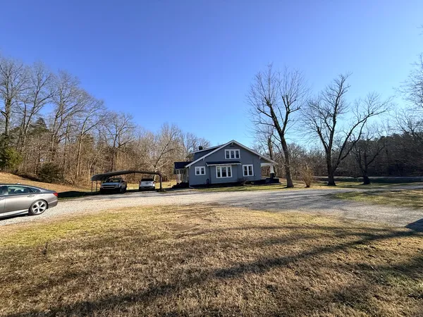 a view of a yard with an trees
