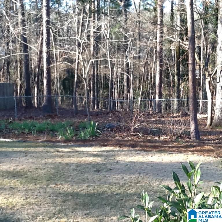 5163 Colonial Park Road Birmingham, AL 35242 - Photo 34 of 47