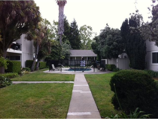 453 North Rengstorff Avenue, Unit 20 Mountain View, CA 94043 - Photo 4 of 9 Gallery Image 4