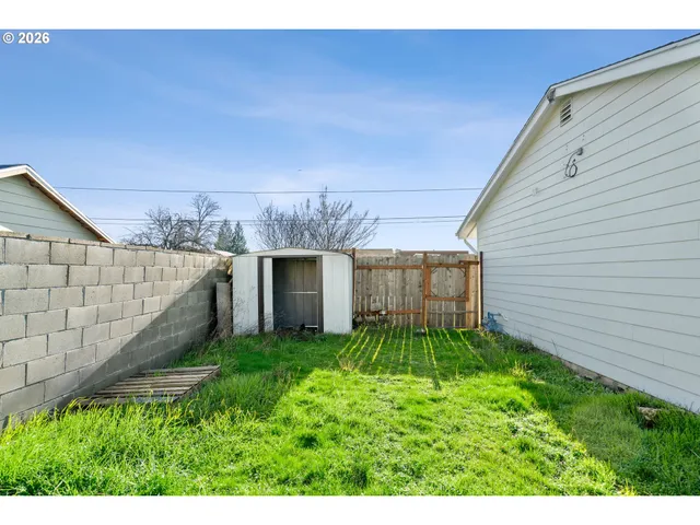 a view of a backyard with plants and a house