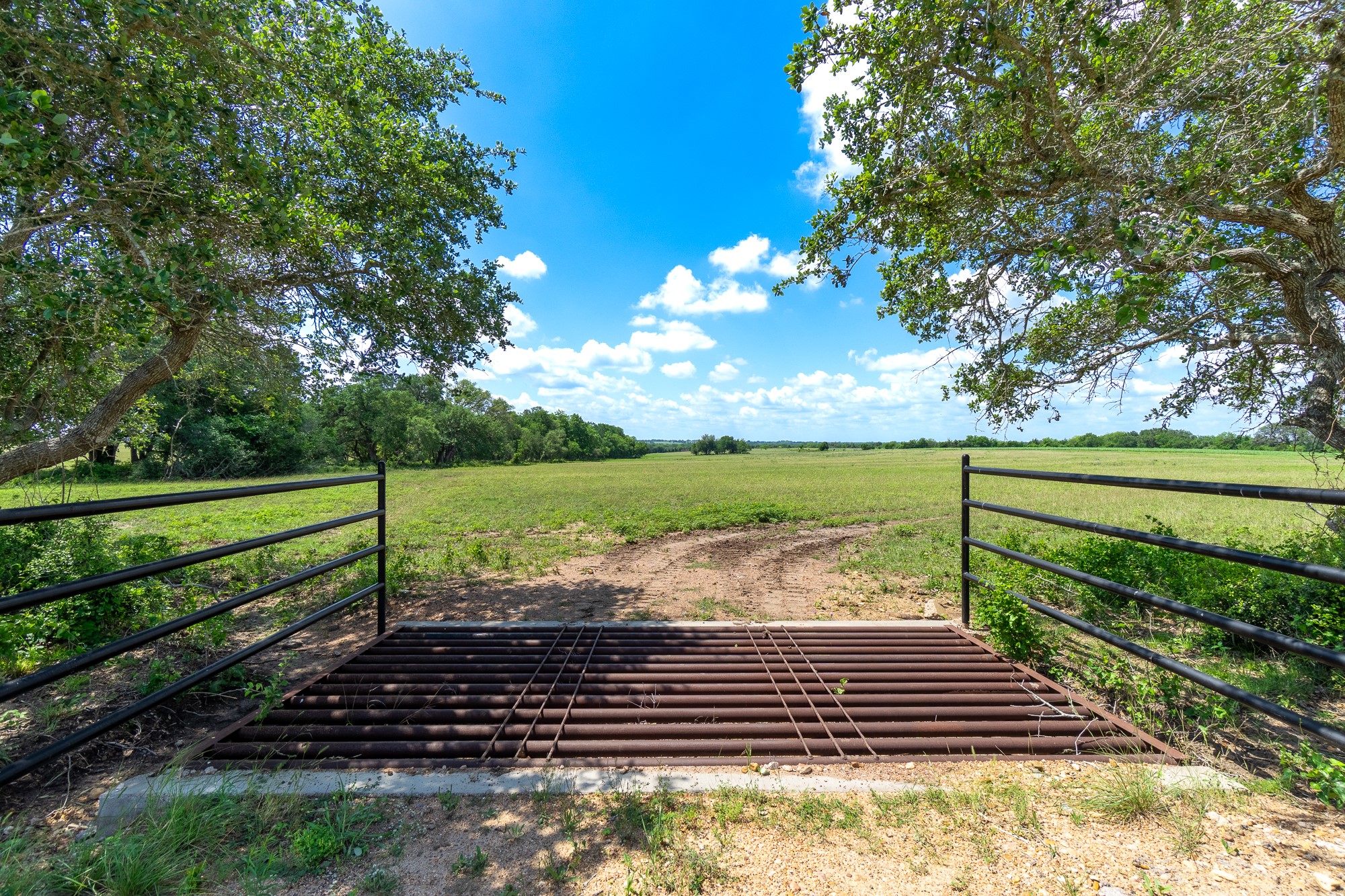 5018 Wolters Road Schulenburg, TX 78956 - Photo 8 of 39 a view of a yard with wooden fence