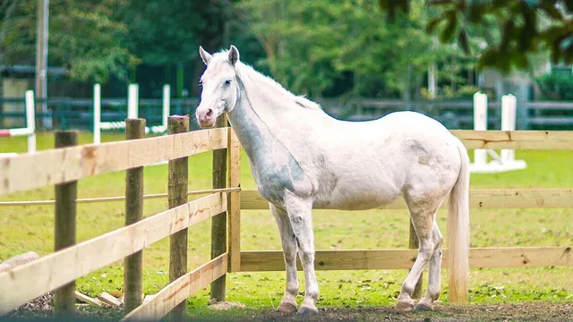 $369,220 | 3013 Fancy Trail, Aiken, SC 29803