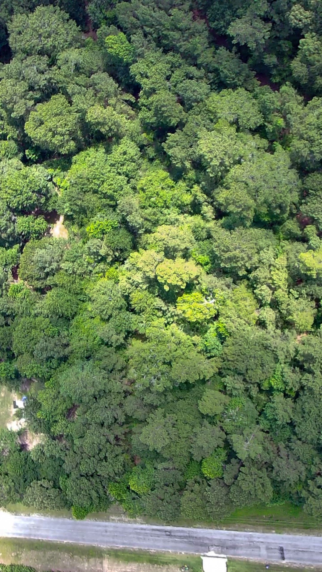 3-b-15-22 Fire Sky Road Huntsville, TX 77340 - Photo 8 of 14 Overhead view