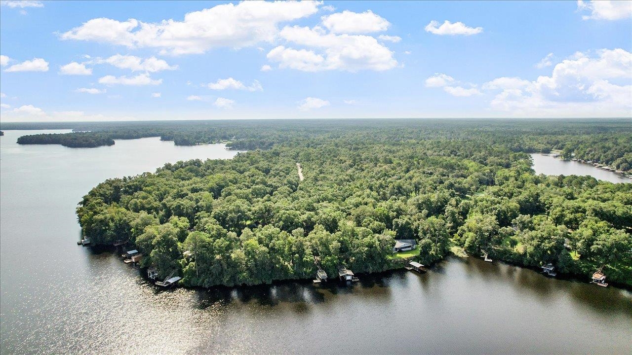 Parramore Shores Road Tallahassee, FL 32310 - Photo 6 of 31