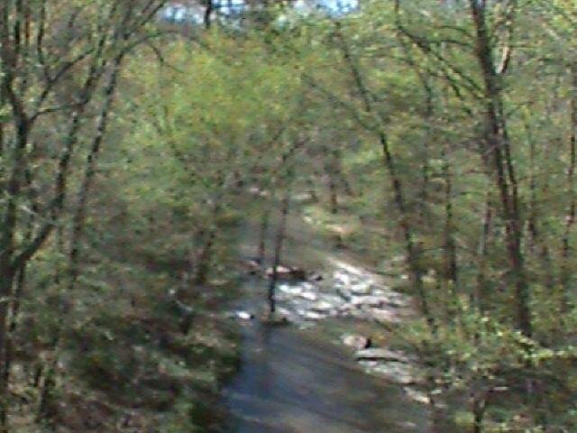 0 Jernigan Bridge Road White Plains, GA 30678 - Photo 1 of 1 Gallery Image 1