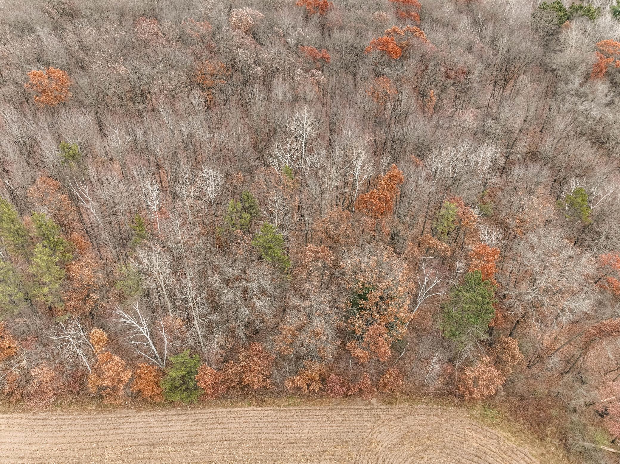 29 29 1/2 Street Chetek, WI 54728 - Photo 12 of 16